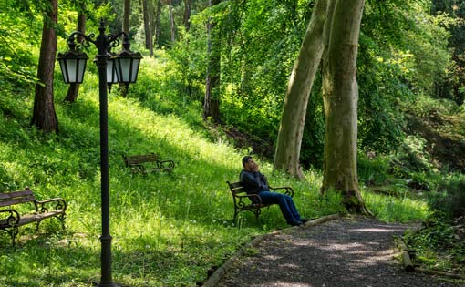 Individual sitting on a bench